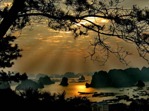 Bình Minh Trên Vịnh Hạ Long