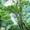 Một ngày làm “chúa đảo” trên vịnh Hạ Long, có gì bất ngờ?