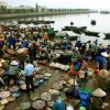Explore Ha Long Wharf's seafood market