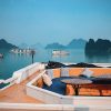Visit Tuan Chau Island to have unforgettable experiences