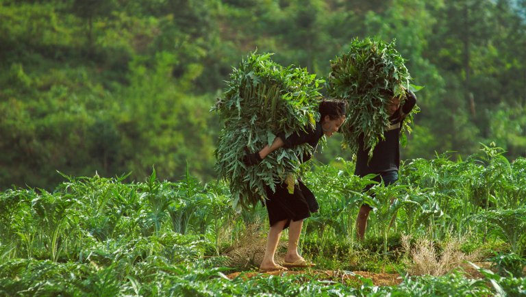 Du lịch ngày lễ