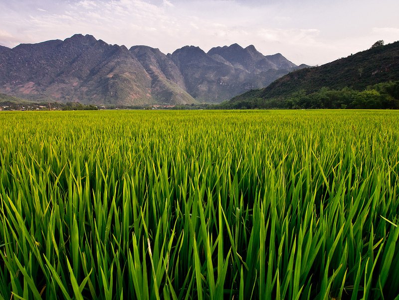 Du lịch Mai Châu